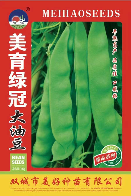̹ڴͶ