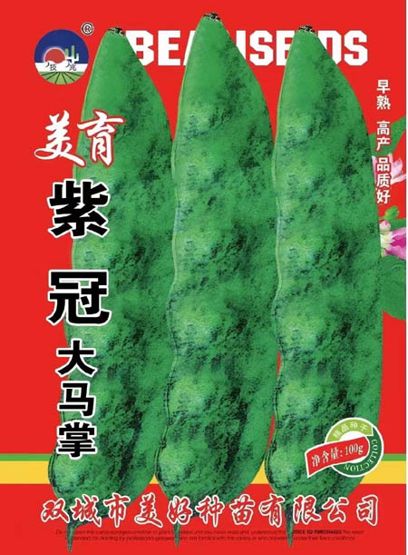 Ϲڴ