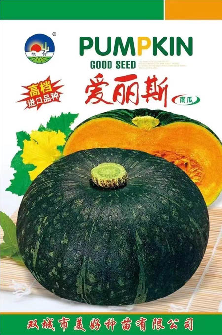 ˹Ϲ