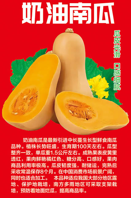 ͻƹ