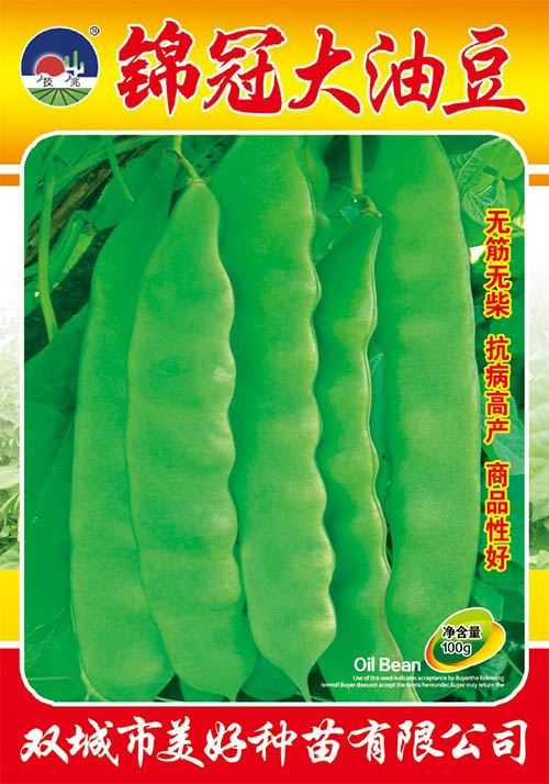 ڴͶ