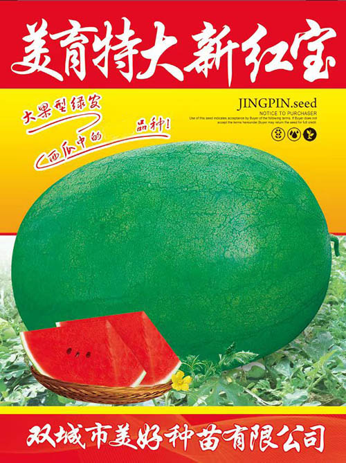 �����ش��º챦