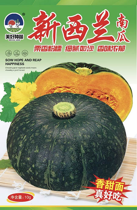 �������Ϲ�