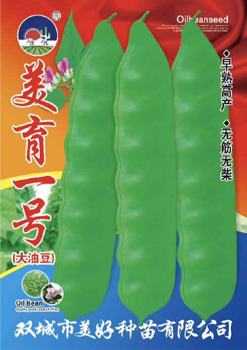 ����һ�Ŵ��Ͷ�