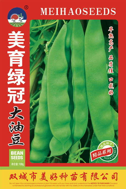 �����̹ڴ��Ͷ�