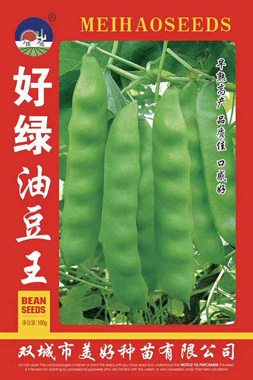 �����Ͷ���