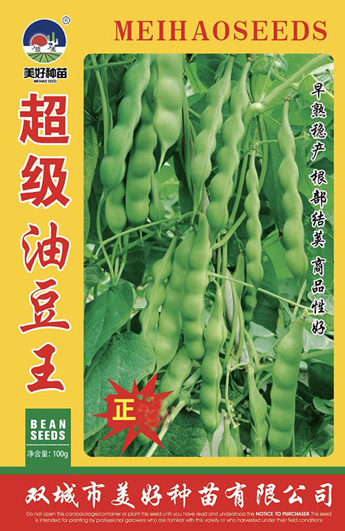 �����Ͷ���