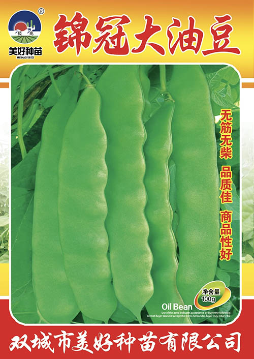 ���ڴ��Ͷ�